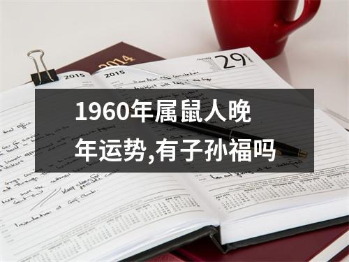 1960年属鼠人晚年运势,有子孙福吗