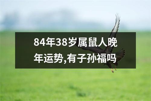 84年38岁属鼠人晚年运势,有子孙福吗