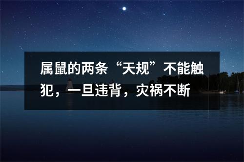 属鼠的两条“天规”不能触犯，一旦违背，灾祸不断