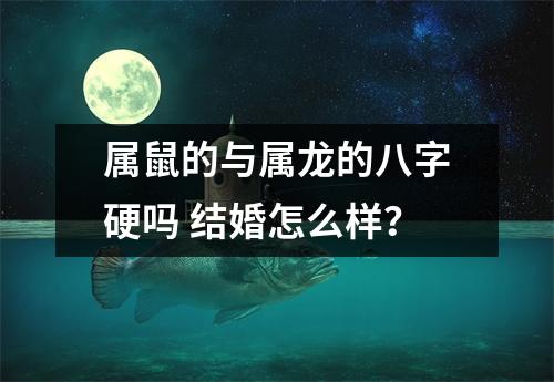 属鼠的与属龙的八字硬吗结婚怎么样？