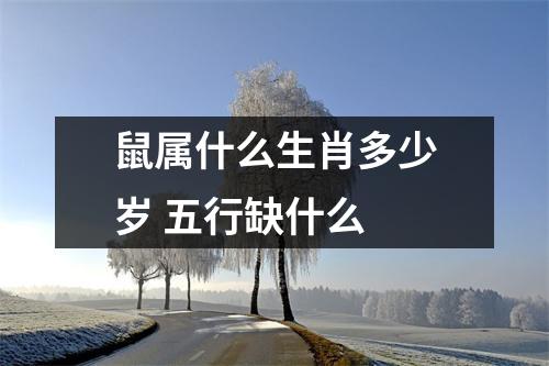 鼠属什么生肖多少岁五行缺什么