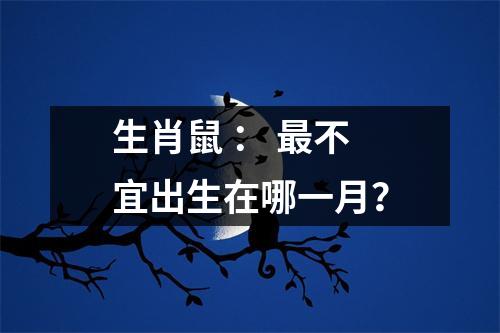 生肖鼠：不宜出生在哪一月？