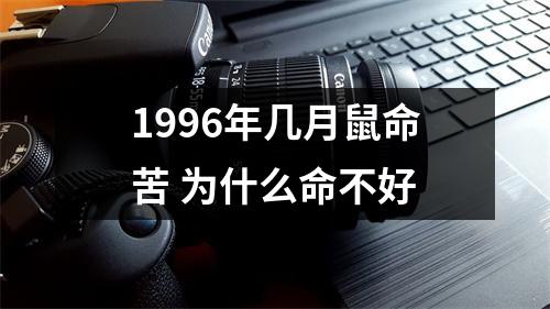 <h3>1996年几月鼠命苦为什么命不好