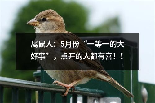 属鼠人：5月份“一等一的大好事”，点开的人都有喜！！