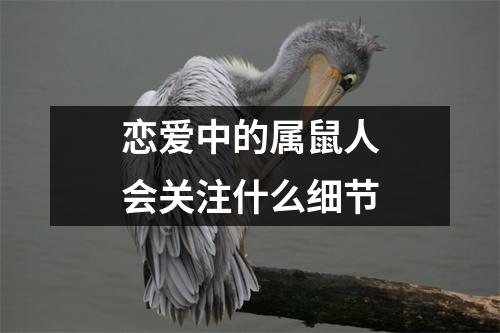 恋爱中的属鼠人会关注什么细节