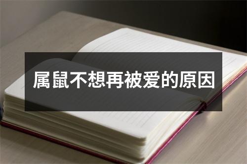 <h3>属鼠不想再被爱的原因