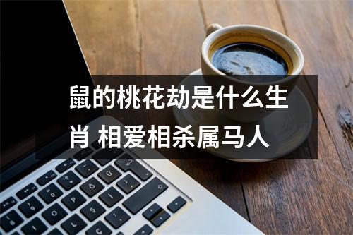 鼠的桃花劫是什么生肖相爱相杀属马人