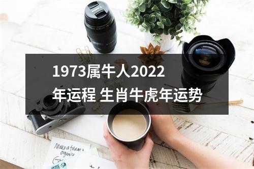 1973属牛人2025年运程生肖牛虎年运势