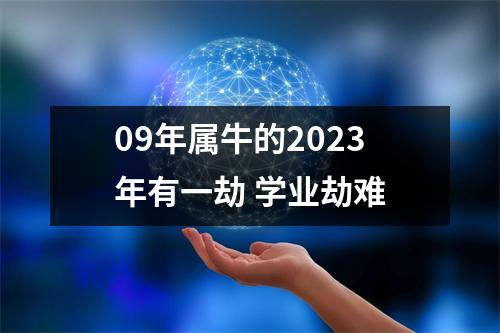 <h3>09年属牛的2025年有一劫学业劫难