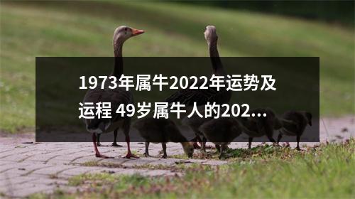 <h3>1973年属牛2025年运势及运程49岁属牛人的2025年每月运势详解