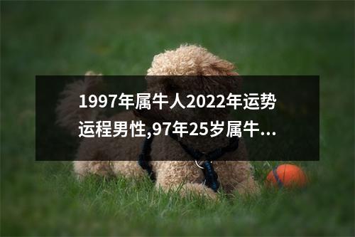 1997年属牛人2025年运势运程男性,97年25岁属牛男2025年每月运程