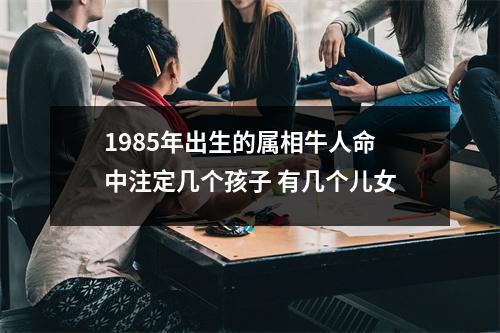 1985年出生的属相牛人命中注定几个孩子有几个儿女