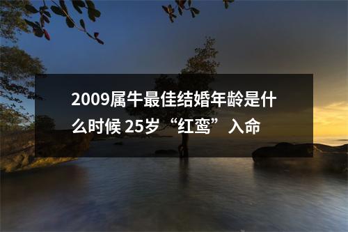 2009属牛佳结婚年龄是什么时候25岁“红鸾”入命