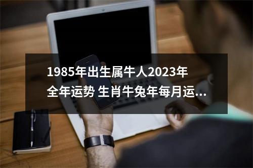 <h3>1985年出生属牛人2025年全年运势生肖牛兔年每月运势