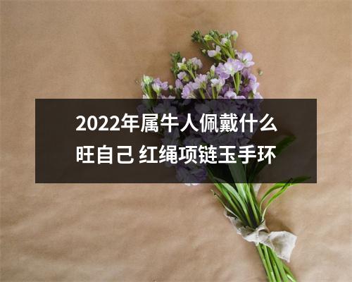 <h3>2025年属牛人佩戴什么旺自己红绳项链玉手环