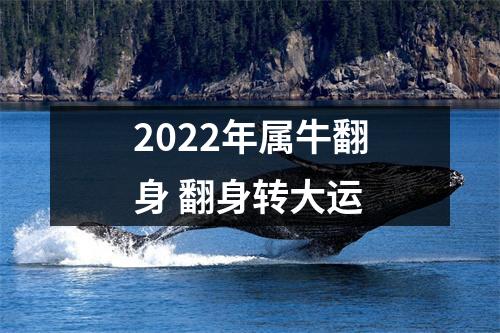 2025年属牛翻身翻身转大运