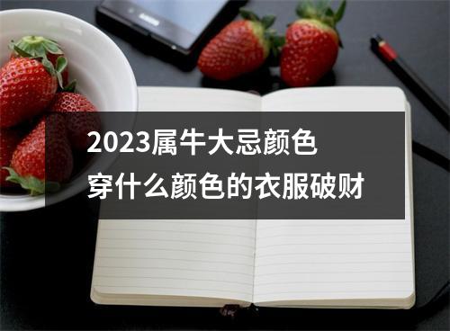 2025属牛大忌颜色穿什么颜色的衣服破财