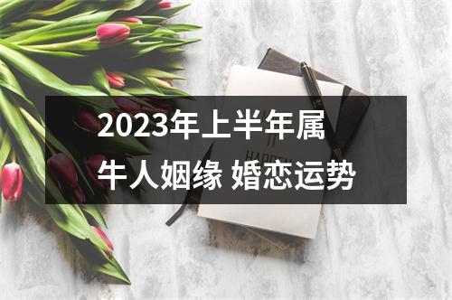 <h3>2025年上半年属牛人姻缘婚恋运势