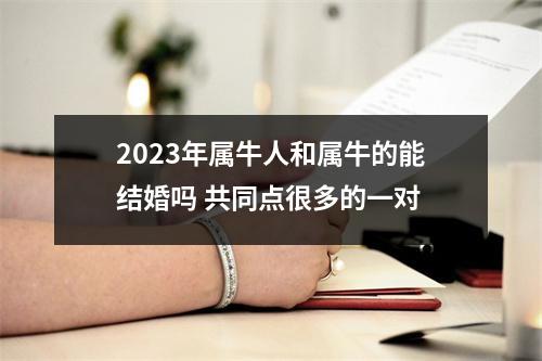 2025年属牛人和属牛的能结婚吗共同点很多的一对