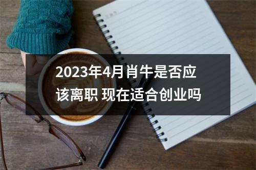 2025年4月肖牛是否应该离职现在适合创业吗