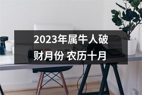 <h3>2025年属牛人破财月份农历十月