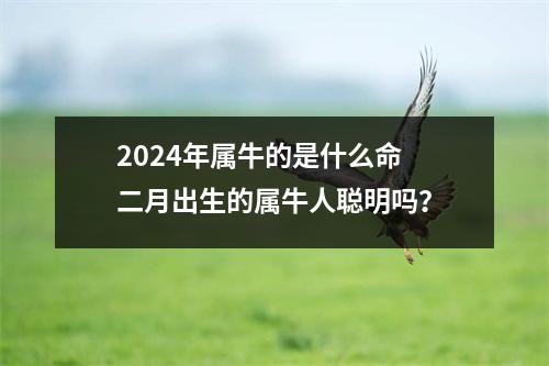 2024年属牛的是什么命二月出生的属牛人聪明吗？