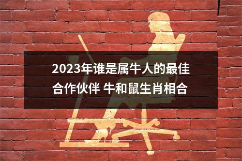 2025年谁是属牛人的佳合作伙伴牛和鼠生肖相合