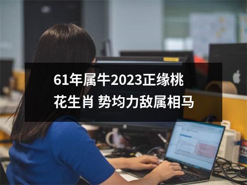 61年属牛2025正缘桃花生肖势均力敌属相马