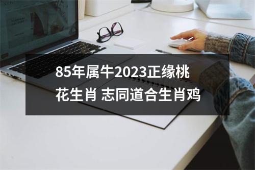 85年属牛2025正缘桃花生肖志同道合生肖鸡