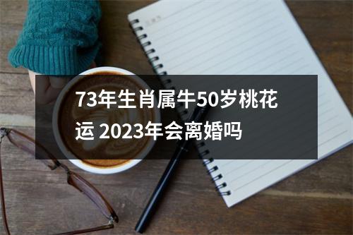 73年生肖属牛50岁桃花运2025年会离婚吗