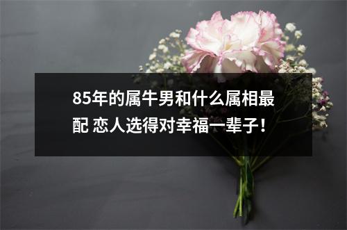 <h3>85年的属牛男和什么属相配恋人选得对幸福一辈子！