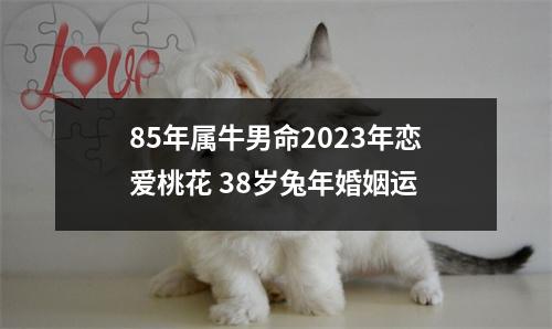 85年属牛男命2025年恋爱桃花38岁兔年婚姻运