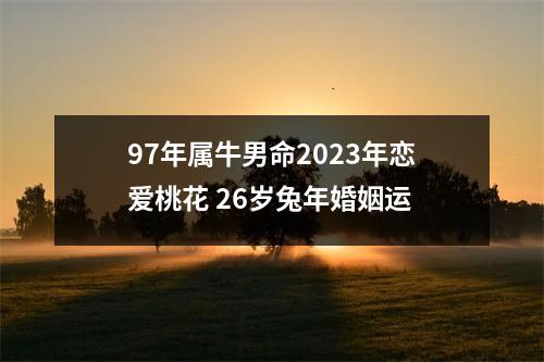 <h3>97年属牛男命2025年恋爱桃花26岁兔年婚姻运