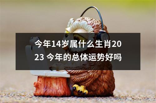 今年14岁属什么生肖2025今年的总体运势好吗