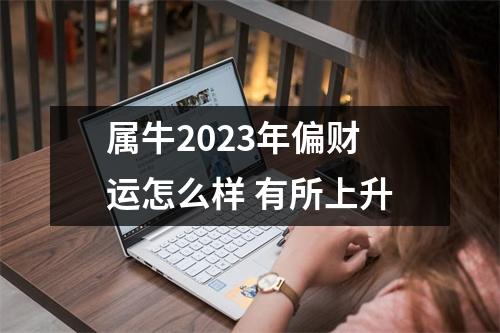 <h3>属牛2025年偏财运怎么样有所上升