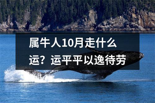 属牛人10月走什么运？运平平以逸待劳