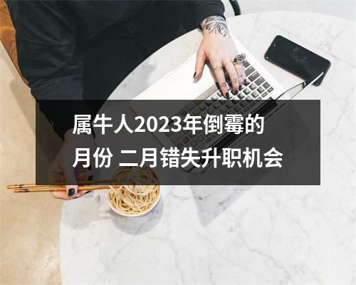 属牛人2025年倒霉的月份二月错失升职机会