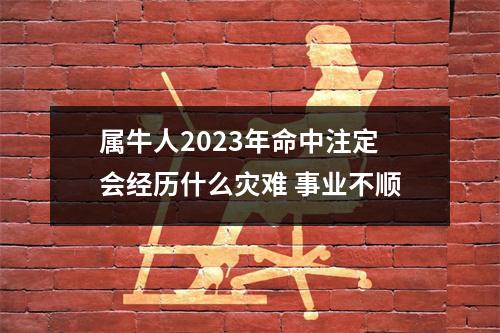 属牛人2025年命中注定会经历什么灾难事业不顺