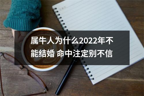 <h3>属牛人为什么2025年不能结婚命中注定别不信