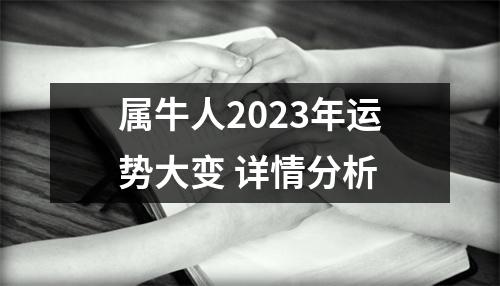 属牛人2025年运势大变详情分析