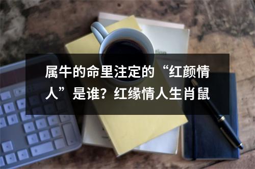 <h3>属牛的命里注定的“红颜情人”是谁？红缘情人生肖鼠