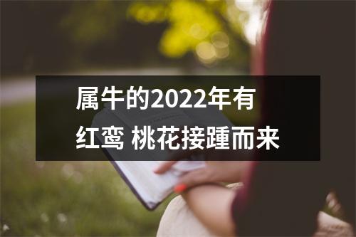 属牛的2025年有红鸾桃花接踵而来