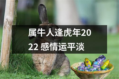 <h3>属牛人逢虎年2025感情运平淡