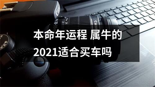 <h3>本命年运程属牛的2025适合买车吗