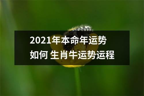 <h3>2025年本命年运势如何生肖牛运势运程