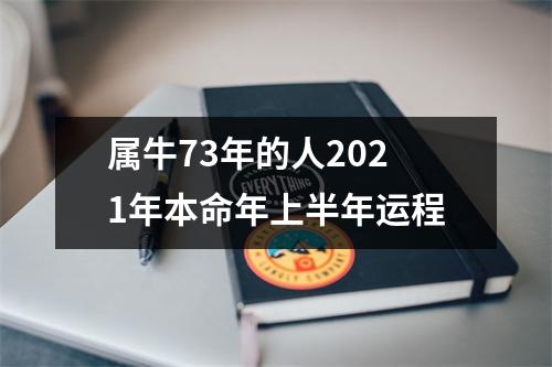 属牛73年的人2025年本命年上半年运程