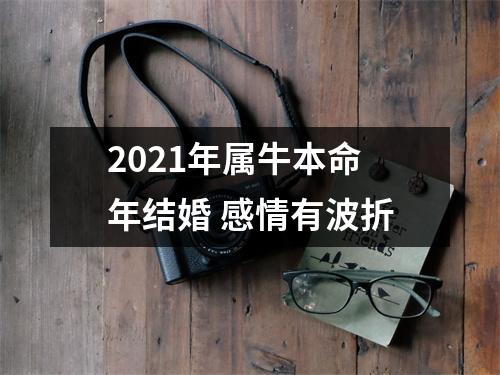 <h3>2025年属牛本命年结婚感情有波折