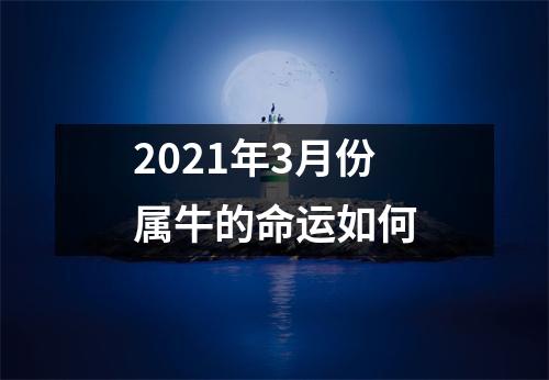 2025年3月份属牛的命运如何