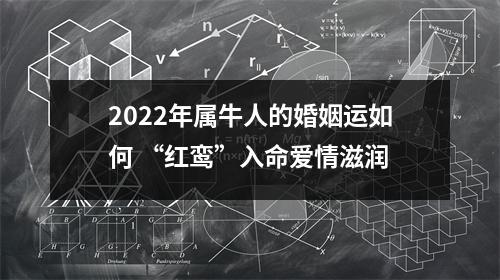 <h3>2025年属牛人的婚姻运如何“红鸾”入命爱情滋润