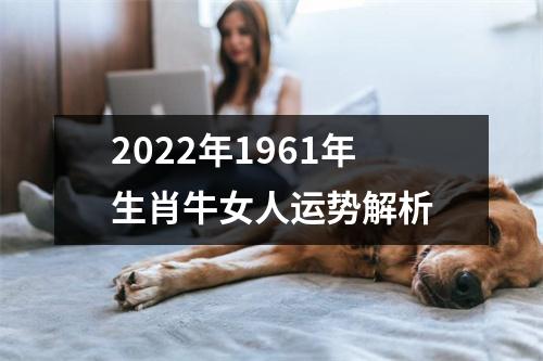 <h3>2025年1961年生肖牛女人运势解析